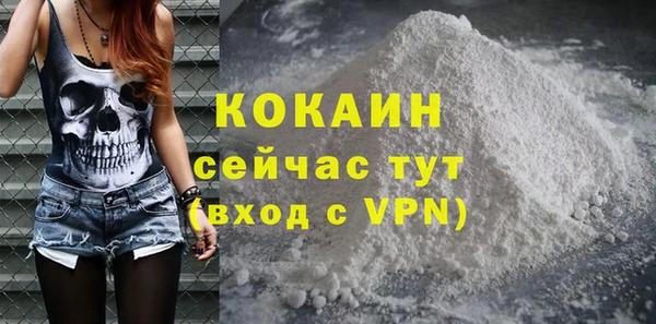 СК Осинники