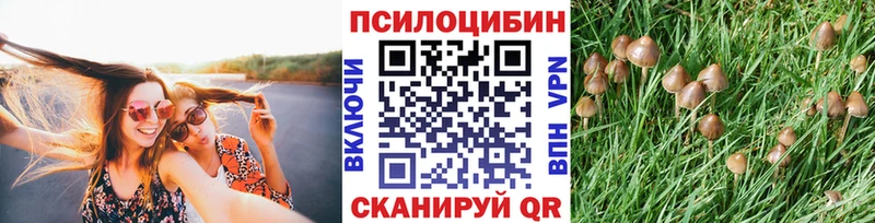 Псилоцибиновые грибы ЛСД  hydra ССЫЛКА  Ахтубинск 